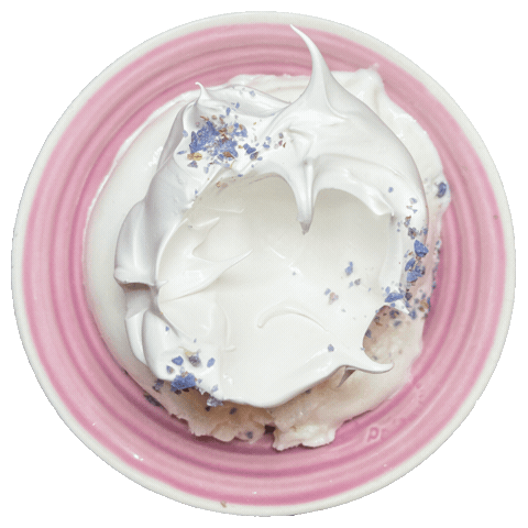Ice Cream Dessert Sticker by foodbabyny