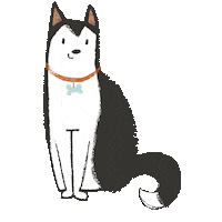 Happy Siberian Husky Sticker by Sarah Kurpiel
