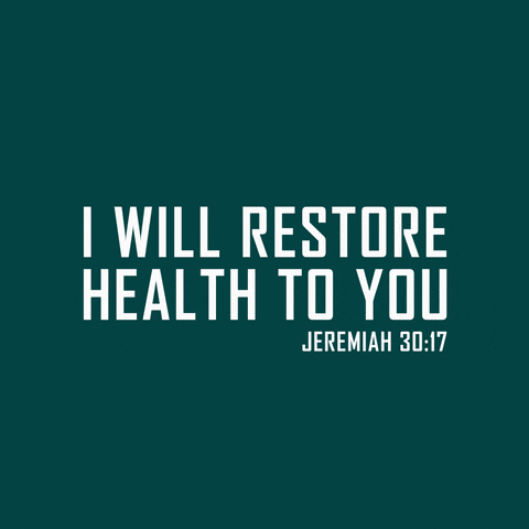 victoriabea4 giphyupload GIF