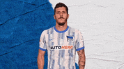 Bundesliga Berlin GIF by Hertha BSC