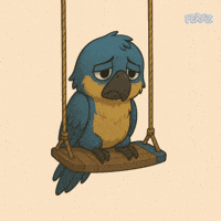 Sad Macaw GIF by Feraz NFT