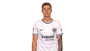 Eintracht Frankfurt Yes Sticker by Bundesliga