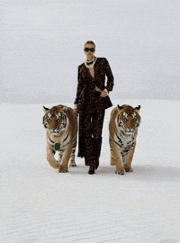 Fashion Tiger GIF by CTHROU