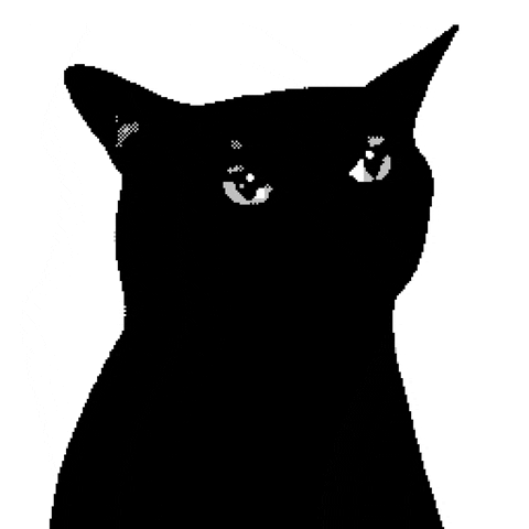 srodan art cat animation animated GIF