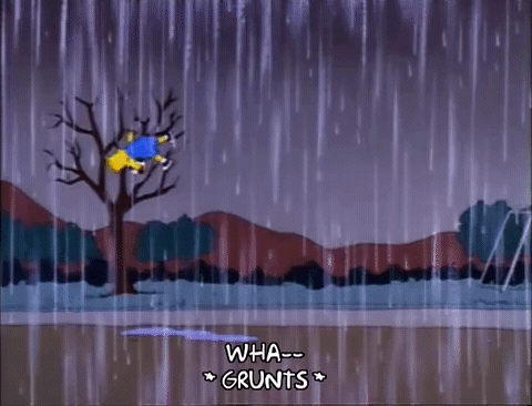 Season 4 Soccer GIF by The Simpsons