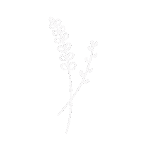Flowers Aesthetics Sticker