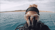 water ocean GIF
