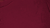 College Baseball GIF by Pearl River Athletics