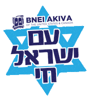 Israel Jewish Sticker by bneiakiva