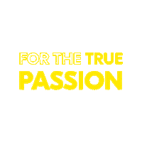 forthetrue video photo camera photographer Sticker