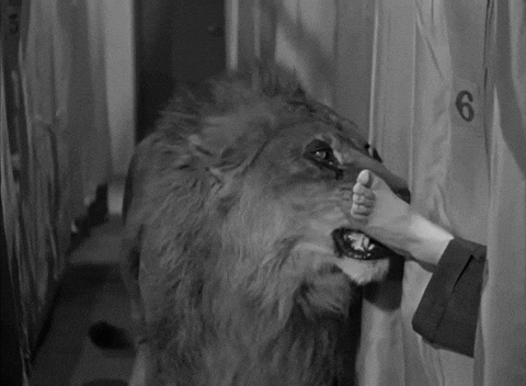 BobHope666 giphyupload glenn greenwald hold that lion GIF