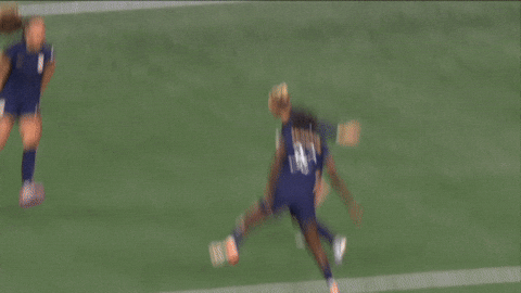 Goalcelebration Seattlereign GIF by National Women's Soccer League