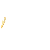 vcu igotin Sticker by Virginia Commonwealth University