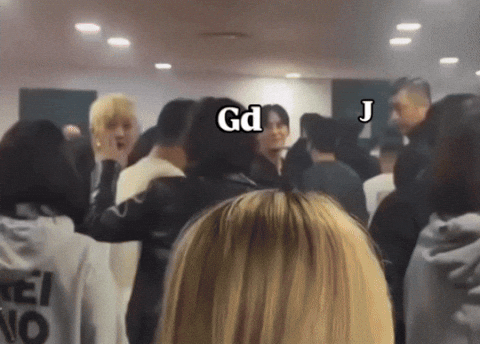 altselection giphyupload GIF