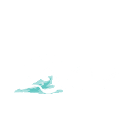 Fun Water Sticker by Zouk