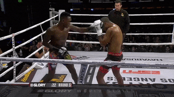 Ufc Lol GIF by GLORY Kickboxing
