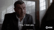 ray donovan show GIF by Showtime