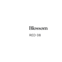 Blossom Sticker by Plum Living