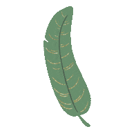 Banana Leaf Pink Sticker by Roxy James