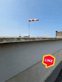 Storm Omg GIF by Linz News