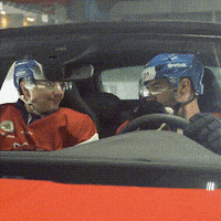 SKODACZ fun car hockey win GIF