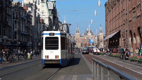 BaeBees giphyupload travel trip amsterdam GIF