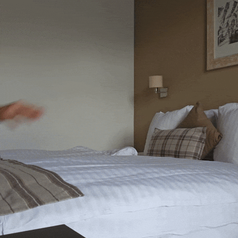 Streamer Hotel GIF