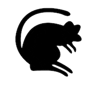 The_Black_Rats british army 4th infantry brigade black rats Sticker