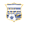 New York League Sticker by USL