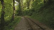 Isle Of Man Railway GIF by Culture Vannin