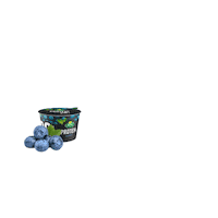 arla_de yummy healthy snack tasty Sticker