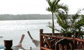photo story GIF
