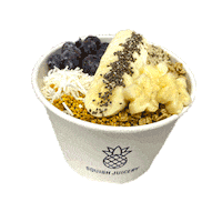 Smoothie Sticker by Squish Juicery