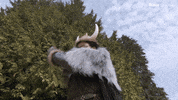 Season 6 GIF by The Roku Channel