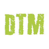 Dtm Sticker by DreamTeamMovers