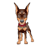 Rocco Sticker by DreamTeamMovers