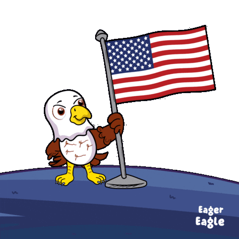 Usa Flag Sticker by VeeFriends