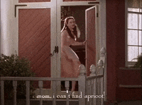 season 1 netflix GIF by Gilmore Girls 