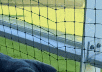 Go Away No GIF
