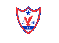 Futebol Bets Sticker by Sorte esportiva