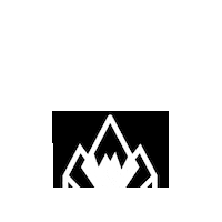 Lotus Teamrider Sticker by Phieres