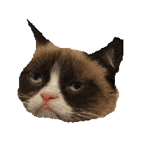 i dont care STICKER by imoji