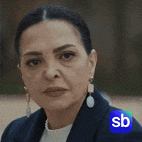 Dizi Bozo GIF by Sporbulteni