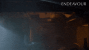Here I Am Hello GIF by Mammoth Screen