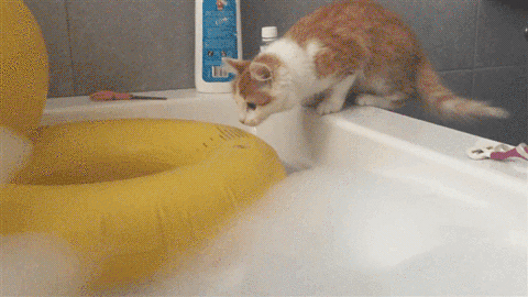 GIF by Demic