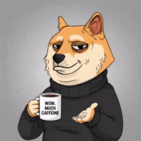 Shiba Inu Wow GIF by Doge Pound