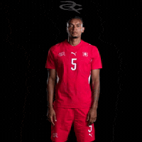 Fifa World Cup Switzerland GIF by Respective