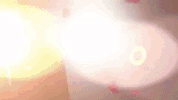 the bachelor nick GIF