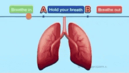 qwerpoiu22ppop giphyupload GIF