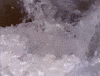 pepsi cola cola commercials diet pepsi GIF